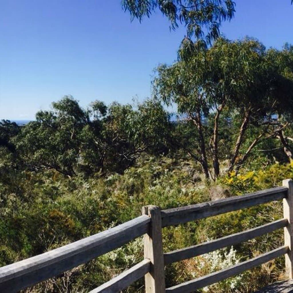 The Pines Flora and Fauna Reserve