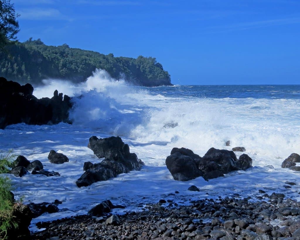 rugged Laupahoehoe Park