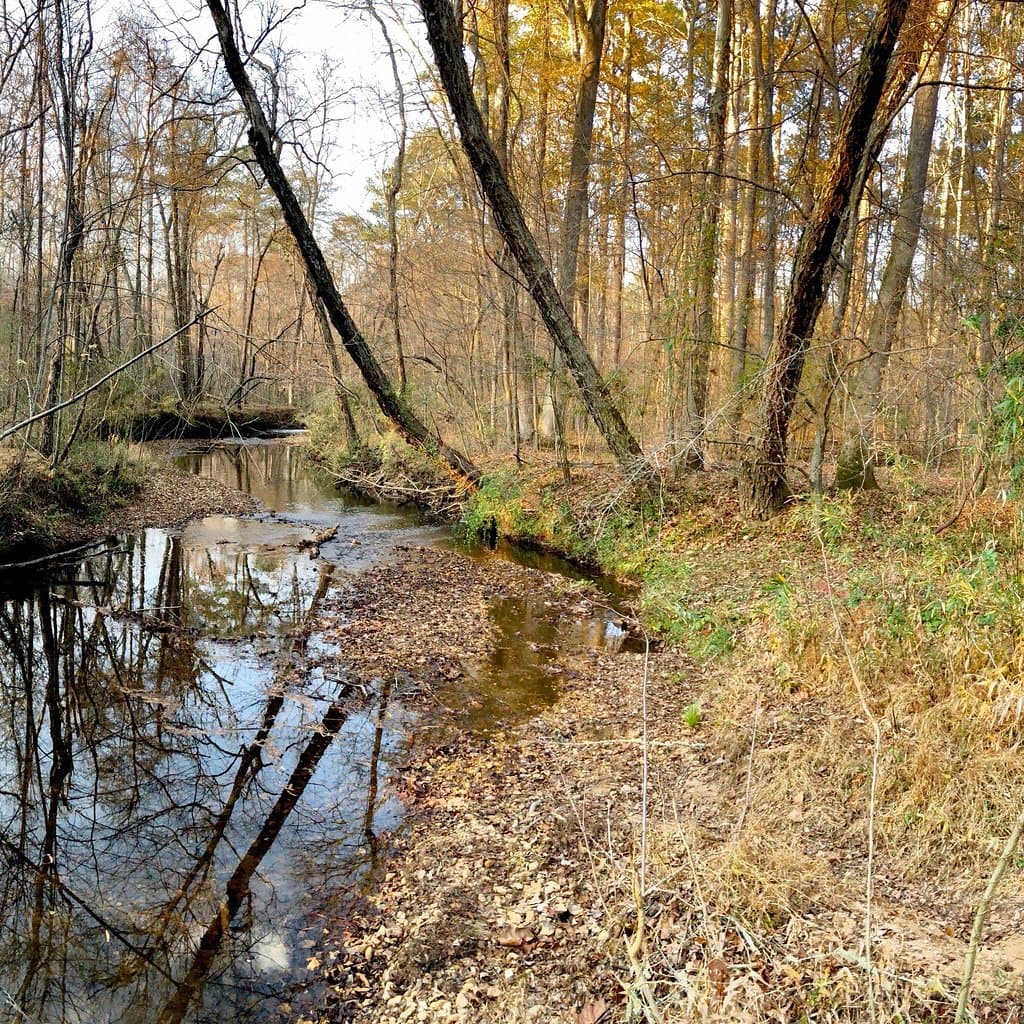 Smith Creek Trails