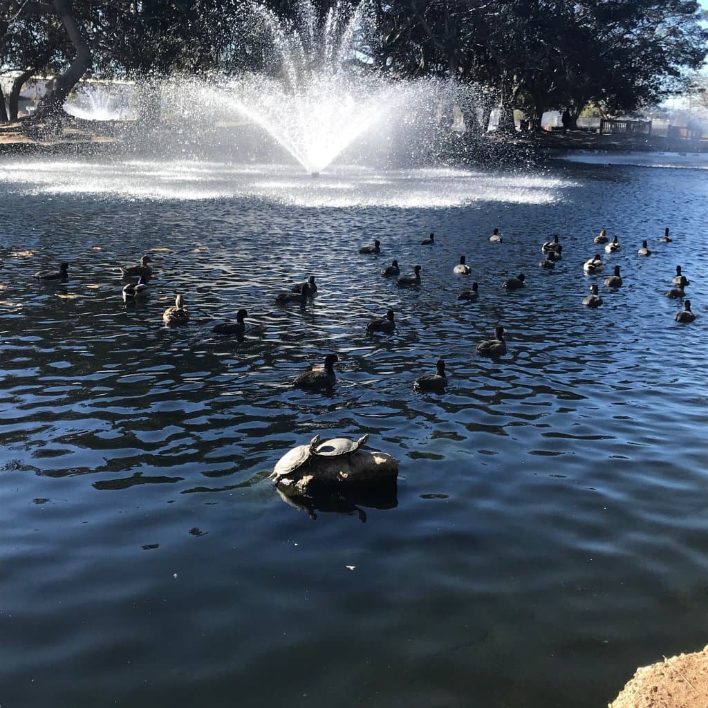 TeWinkle Park