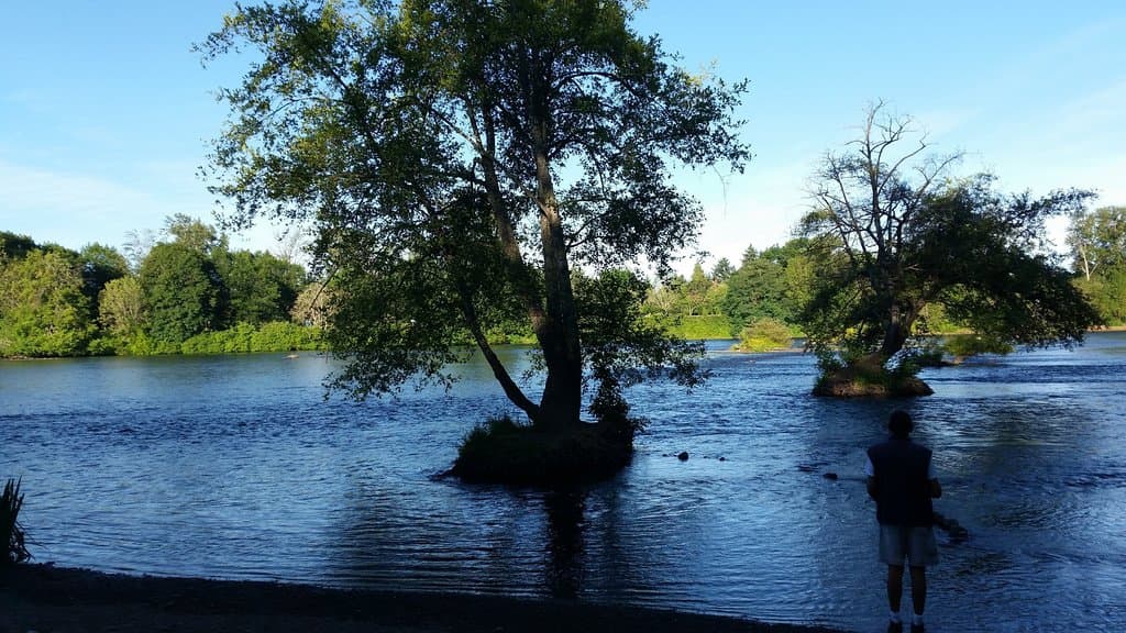 Willamette River
