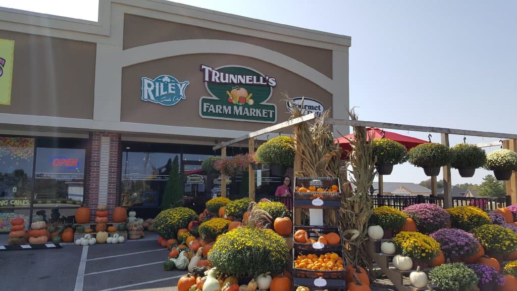 Fall Season