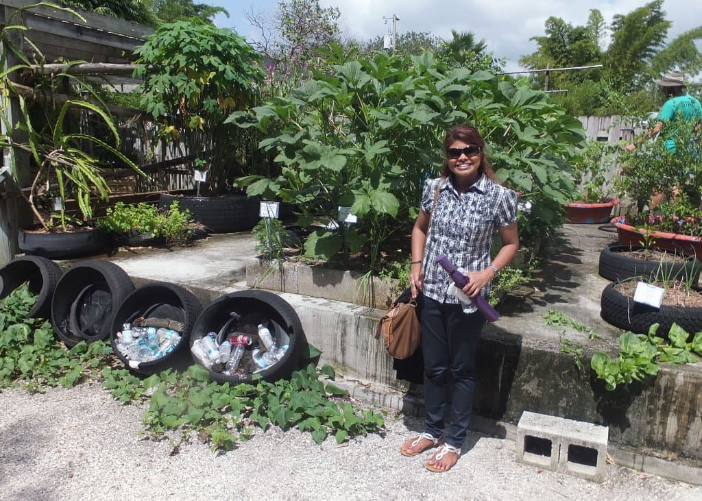 Demonstration of rooftop gardening for city dwellers where no garden plots are available.
