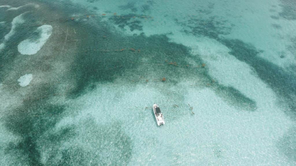 📸 Le bateau Hippocampe sur les fonds blancs – L’icône turquoise de la Martinique
Photo emblématique de l’équipe Coteauvent.fr, le bateau Hippocampe flotte au cœur des fonds blancs, là où le turquoise du lagon révèle toute la magie de la Baignoire de Joséphine. Ce lieu unique, symbole de la Martinique, capture l’essence même du paradis tropical entre ciel, mer et sable immaculé.

– L’équipe de la baignoiredejosephine.com Martinique