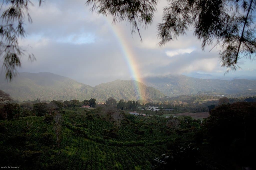 Vista desde el Mirador_Senderos Fina Lérida