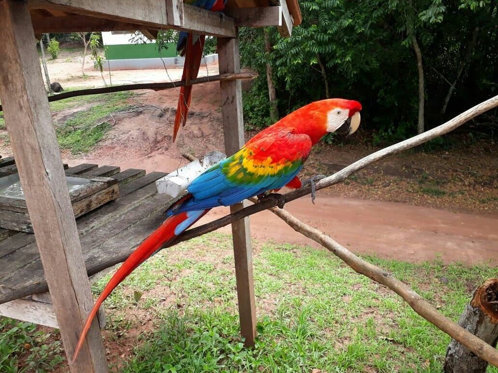 ZooFIT Santarém