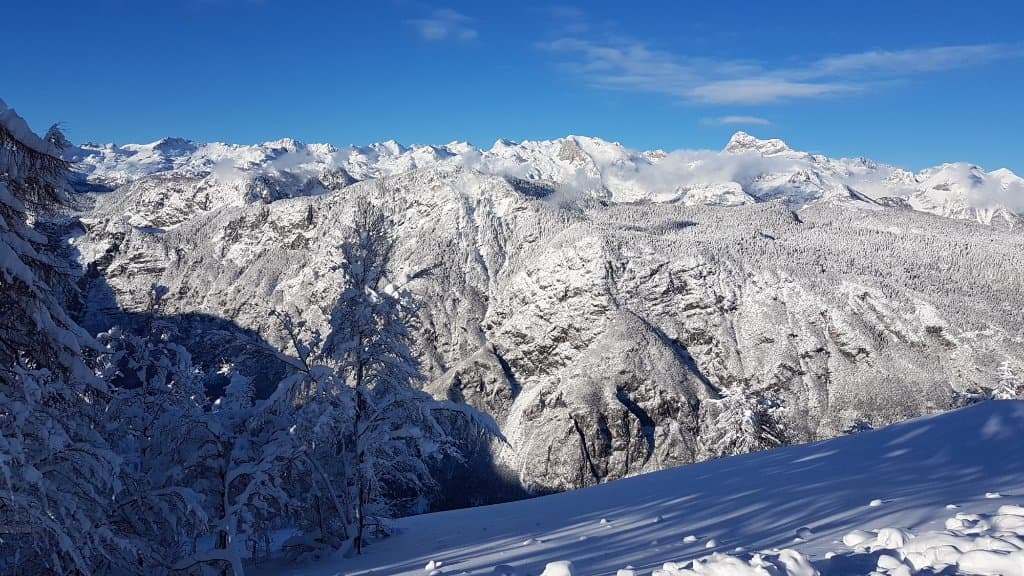 Breathtaking view from Mount Vogel