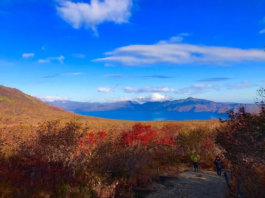 展望台からの景色