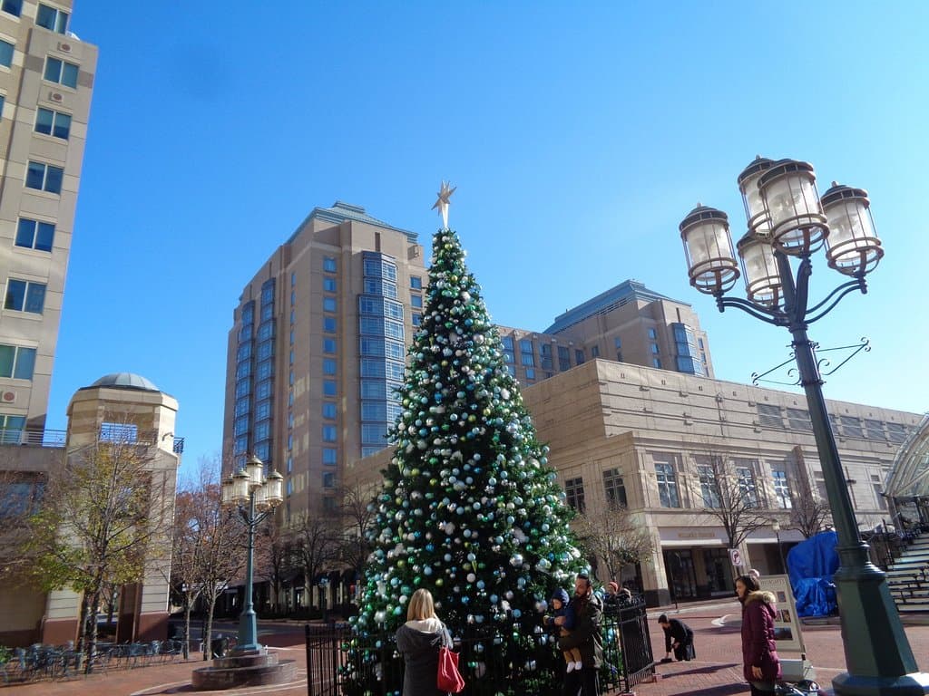 tree