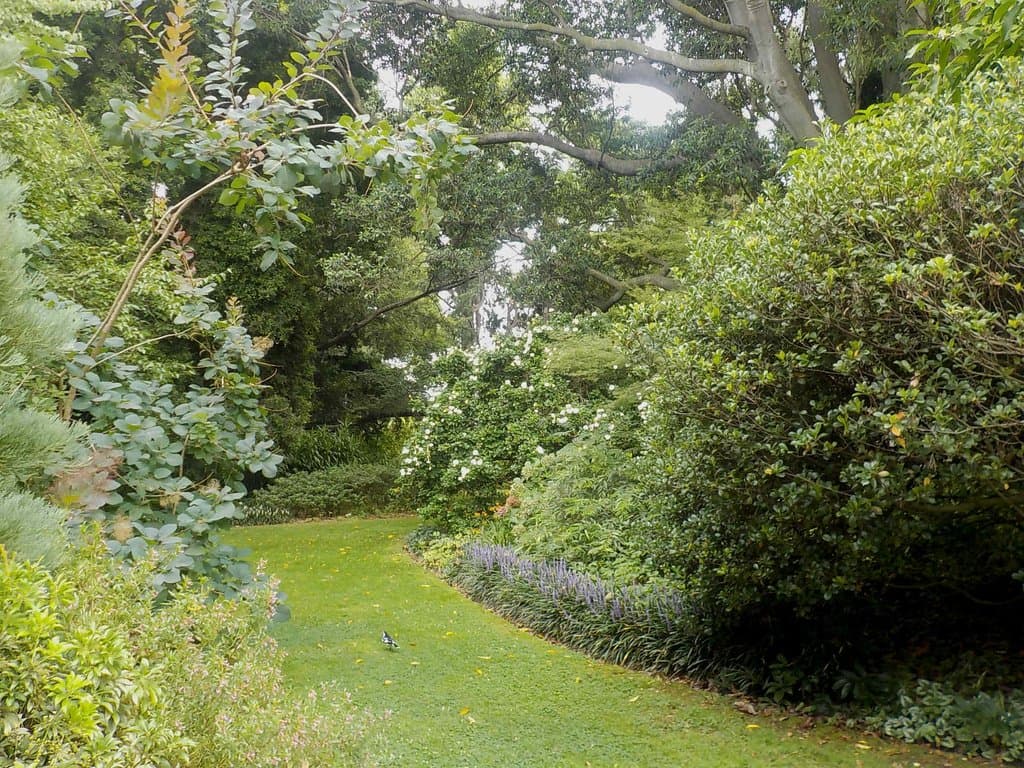 Paths through the gardens