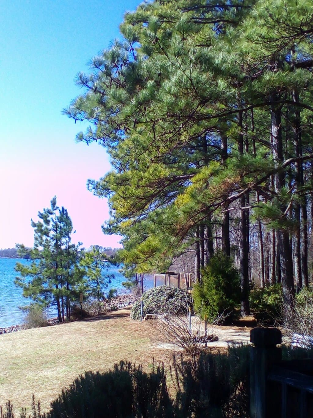Jetton Park