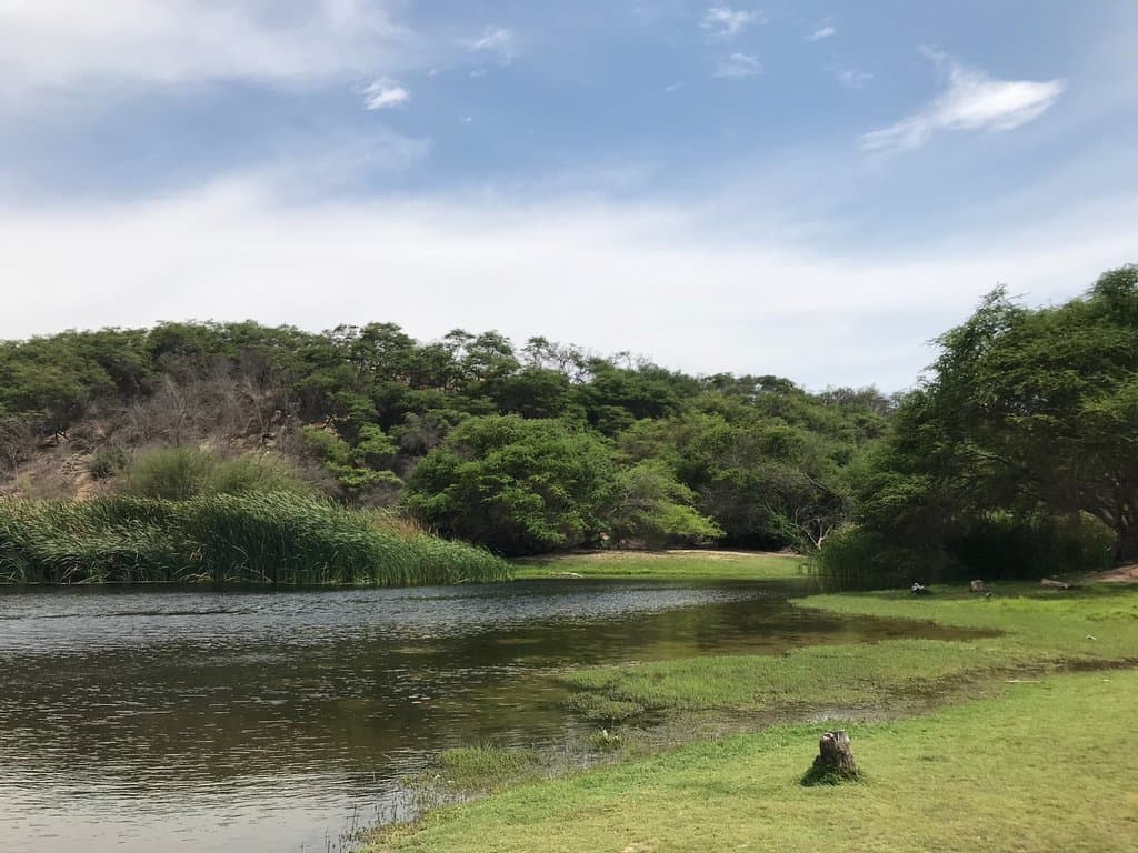 Laguna 1
