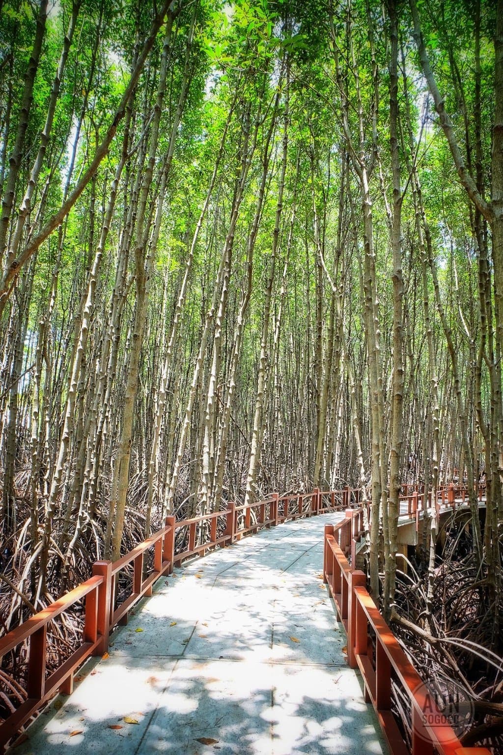 Pranburi Forest Park