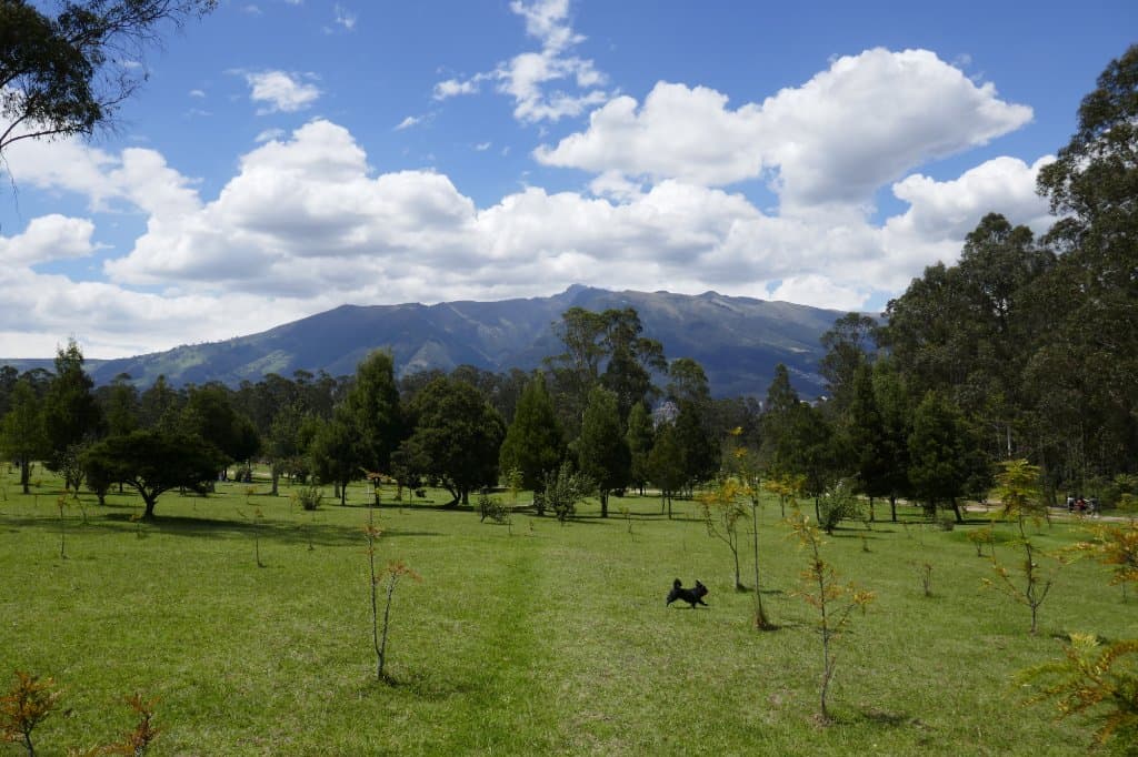 Parque Metropolitano