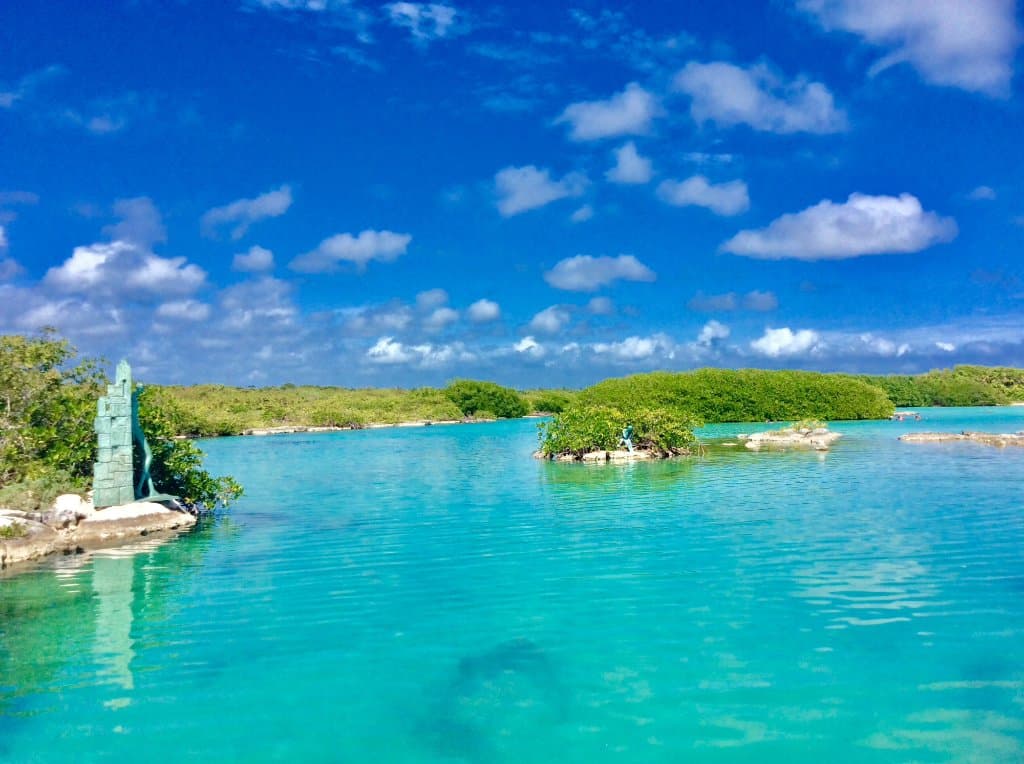 Lagoon area