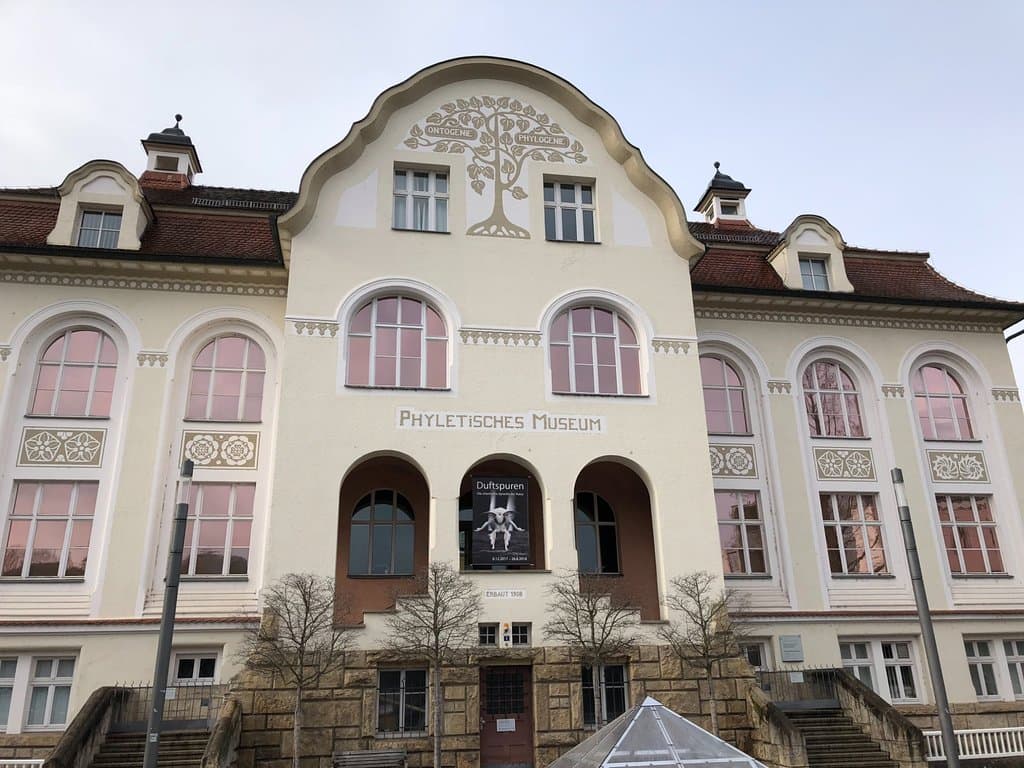 Phyletisches Museum