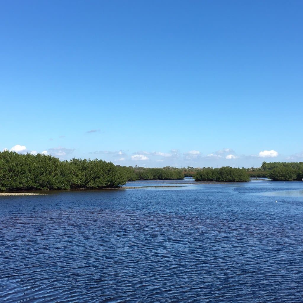 Upper Tampa Bay Park