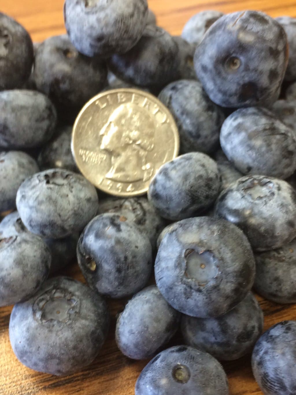 Quarter-sized berries
