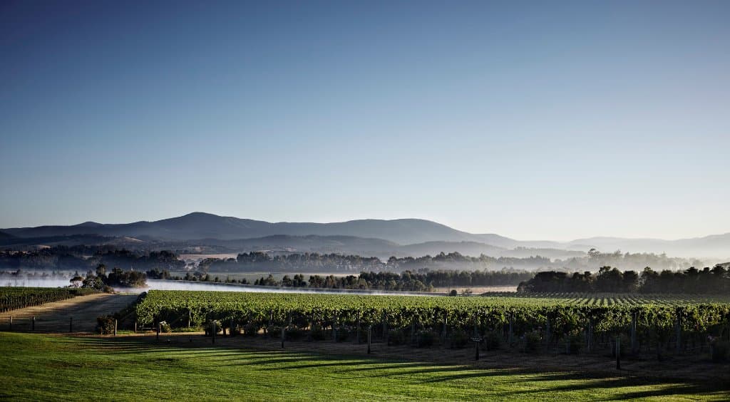 Domaine Chandon Green Point Vineyard