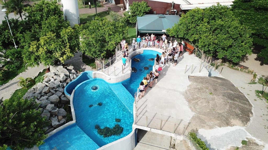 alimentação assistida no tanque ilhas 