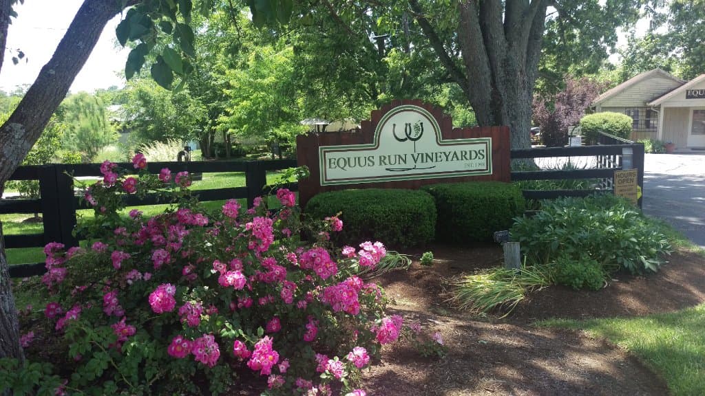 Welcome to Equus Run Vineyards!