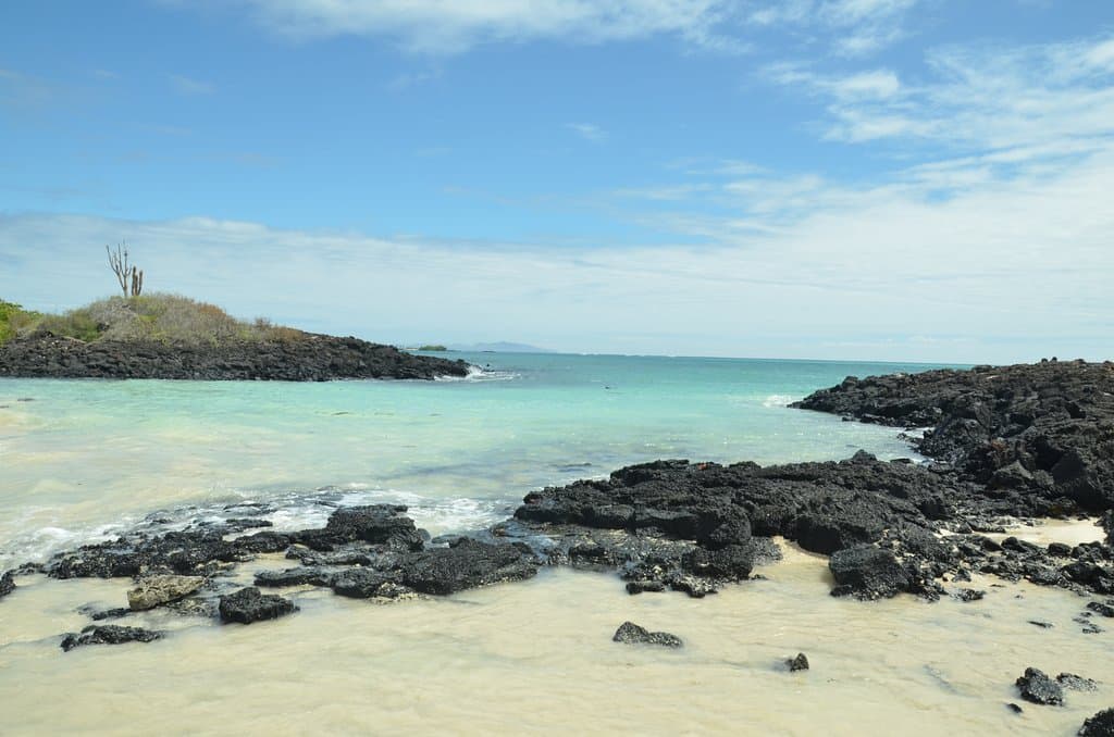 Playa del Garrapatero