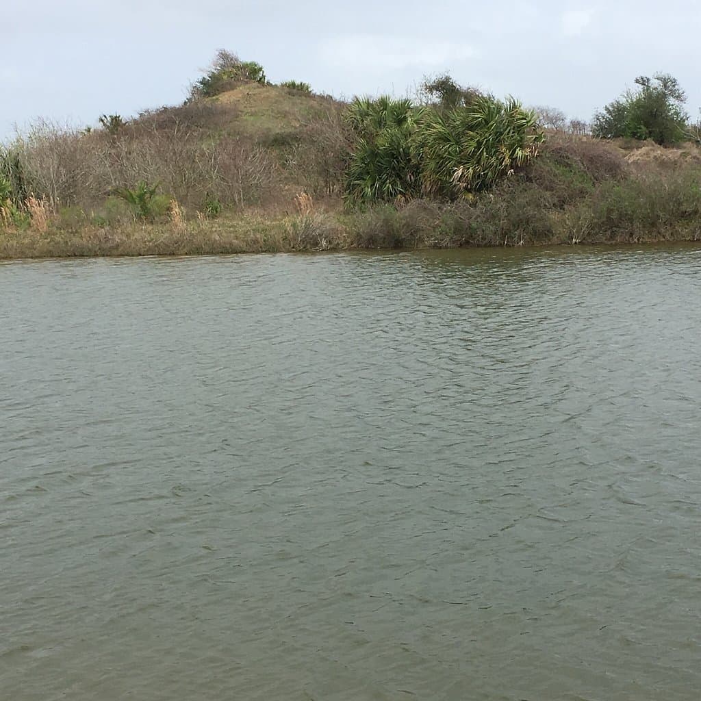 Waterloo Park Moody Amphitheater