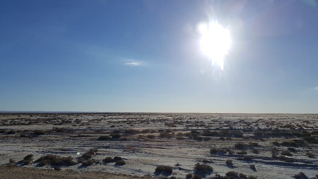Dghoumes National Park Tunisia
