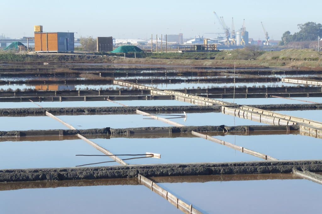 Salinas da Troncalhada en Aveiro