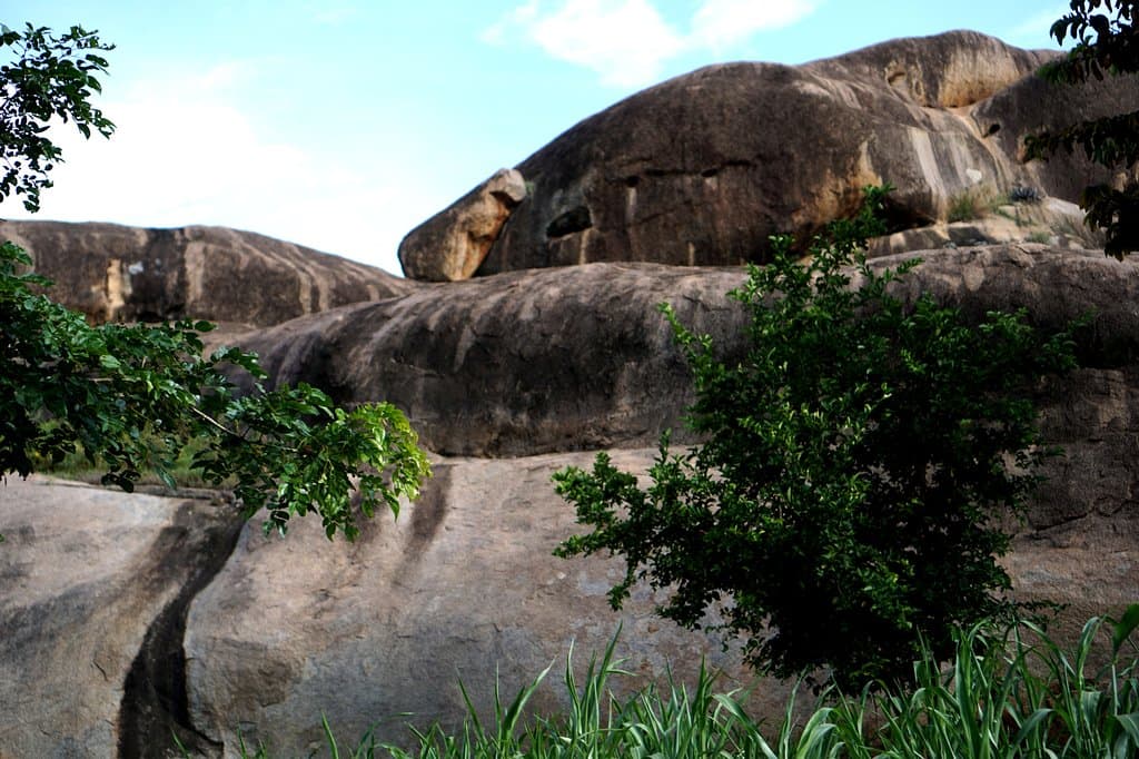 Apparently "dolphin shaped" rocks as we walked from Nyero 2 to Nyero 3