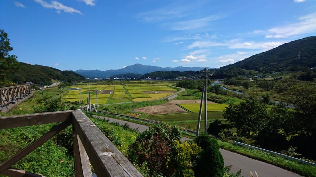 田園風景とSLが一望できる展望デッキ