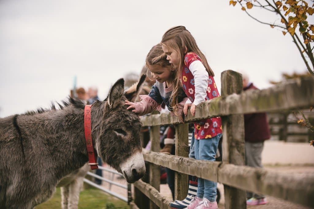Our friendly residents love to meet new people, so come and say hello! 