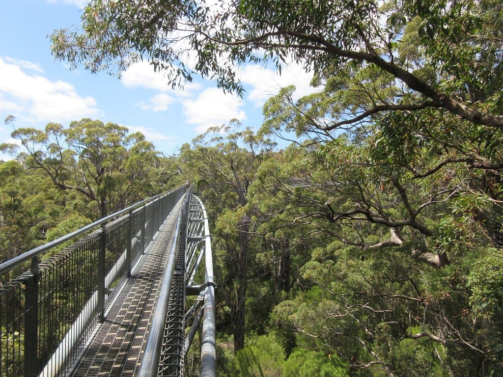 Tere Top Walkway
