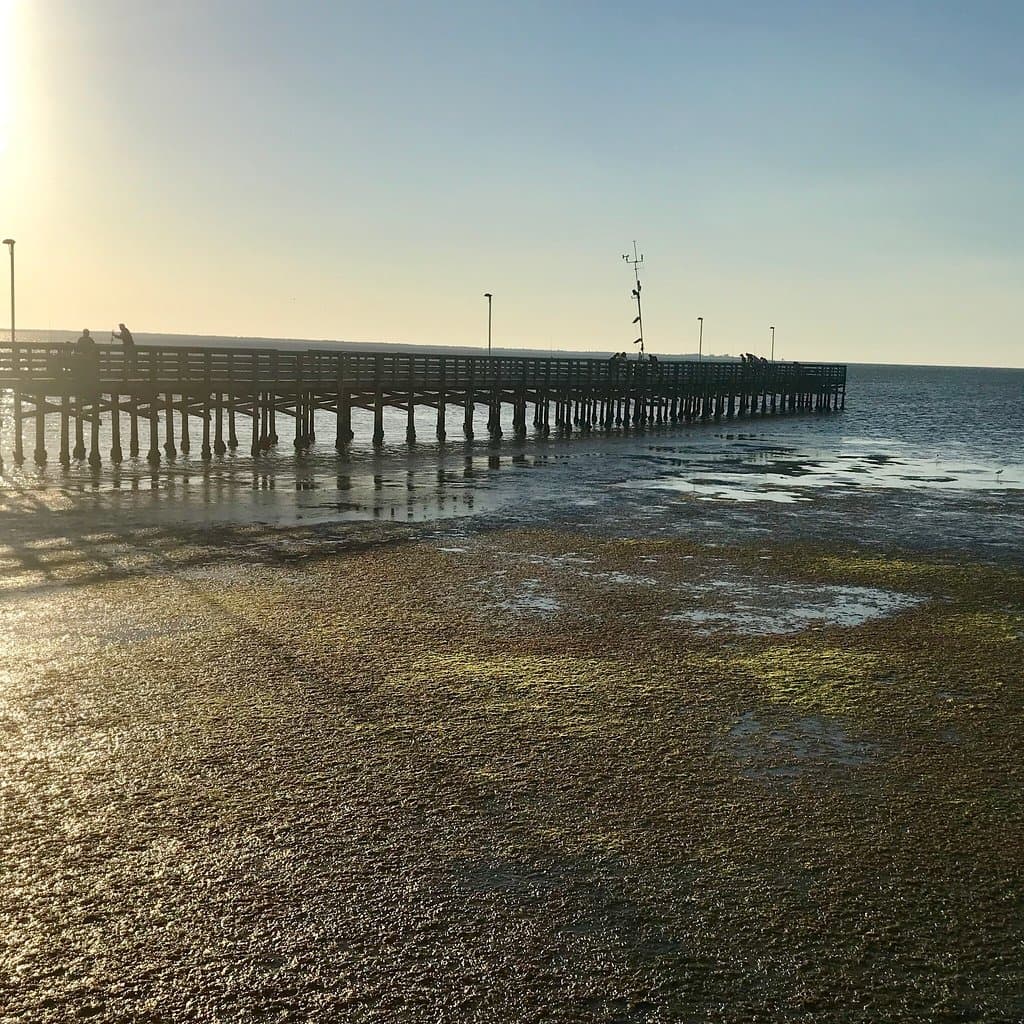 Anclote Gulf Park & Pier