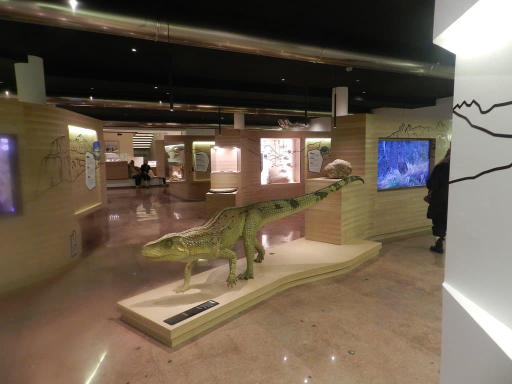 Una sala del museo