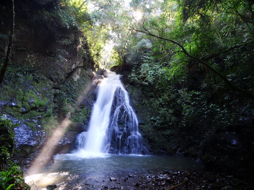 Alambique Flor do Vale