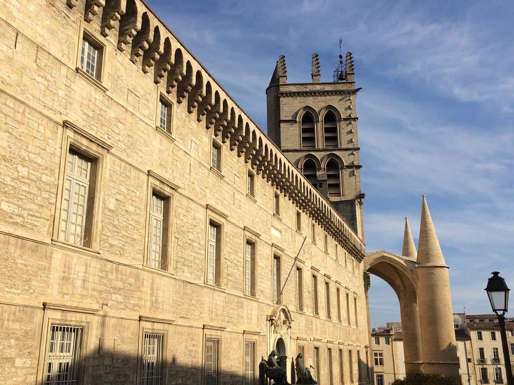 Musée de l'Anatomie