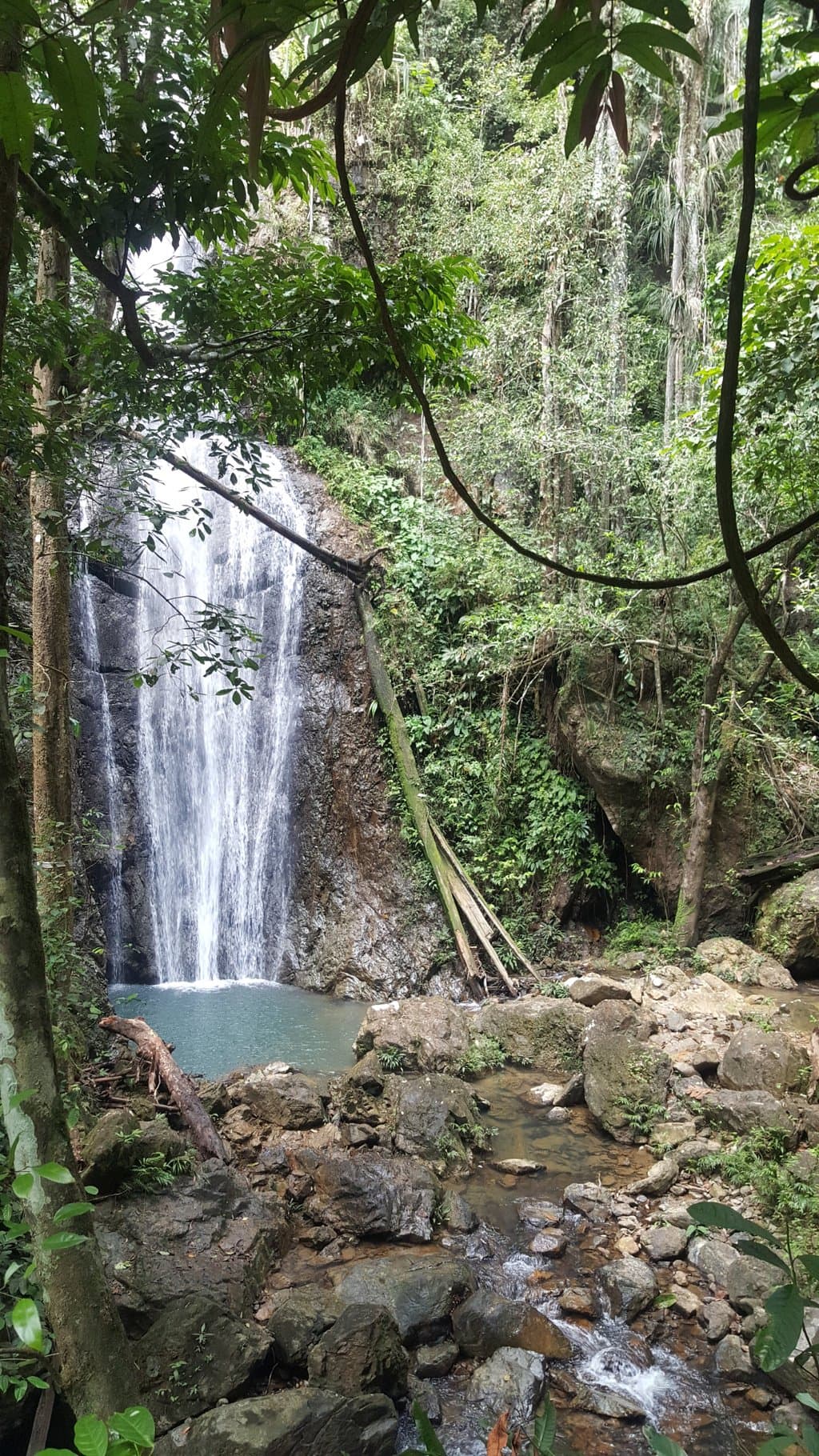 Waterfall