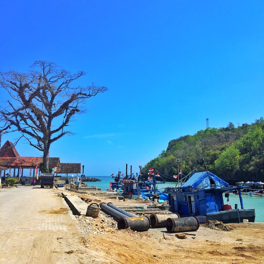 The view of the dock, taken from the parking area.