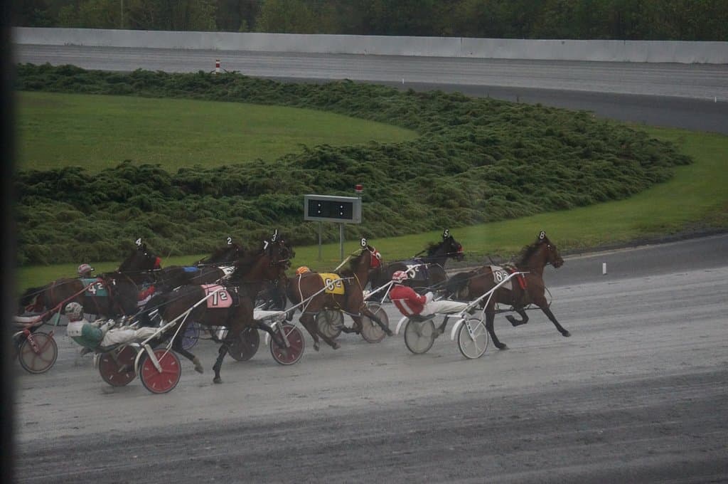 Horse Race, Freehold Raceway