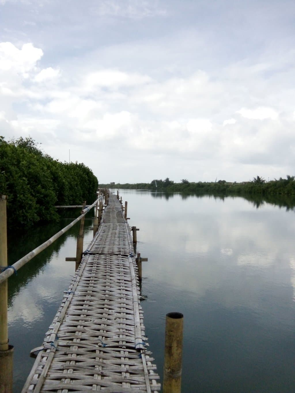 Jembatan hutan Mangrove