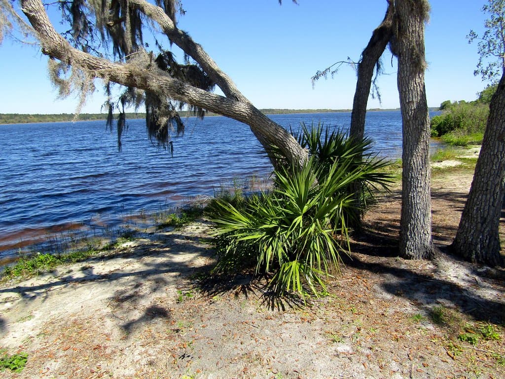 Lake Manatee