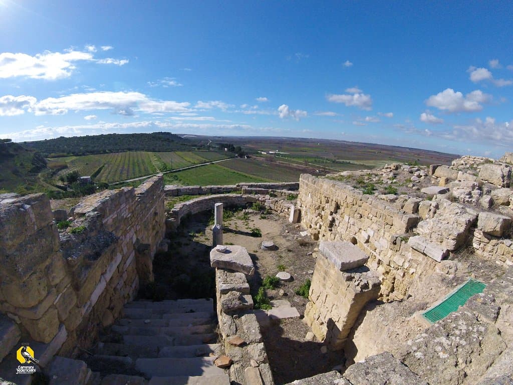 Tra le rovine