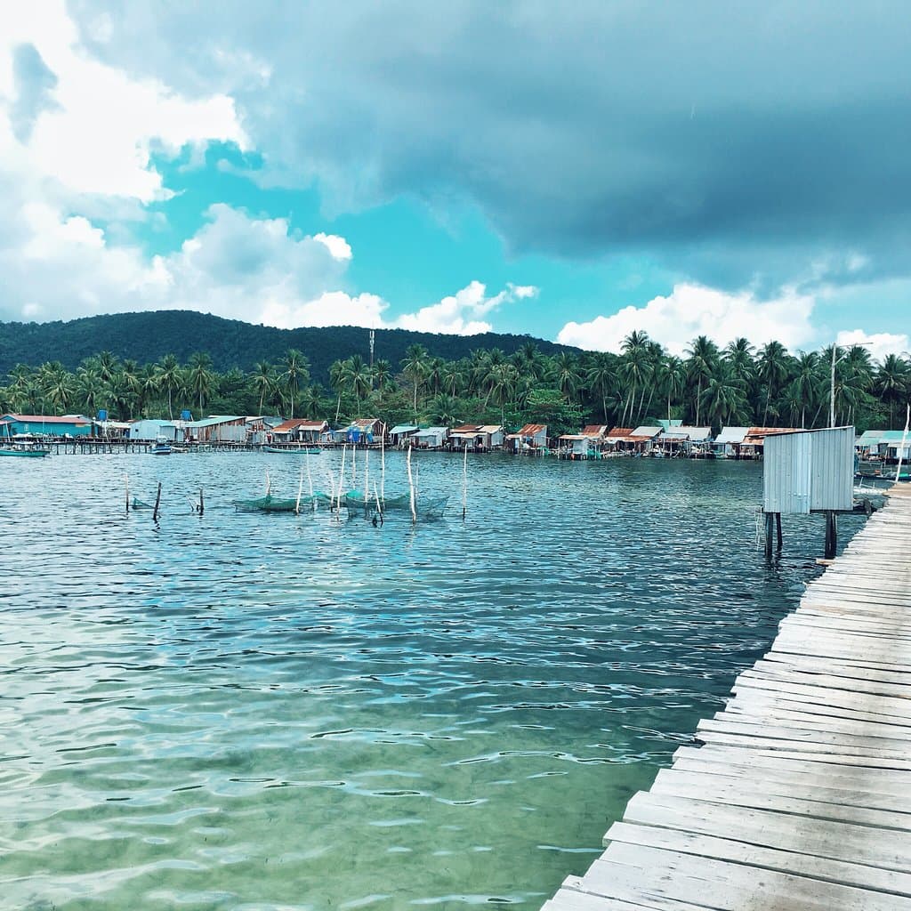 Rach Tram Mangroves Vietnam