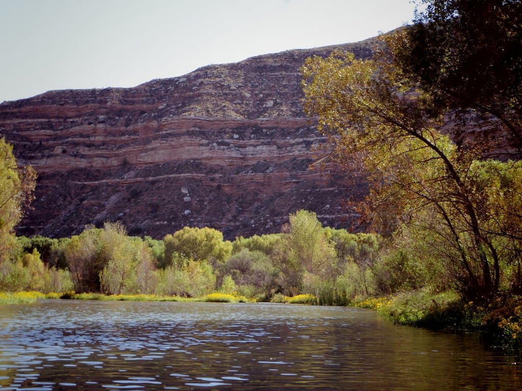 Lower TAPCO RAP/Verde River, autumn