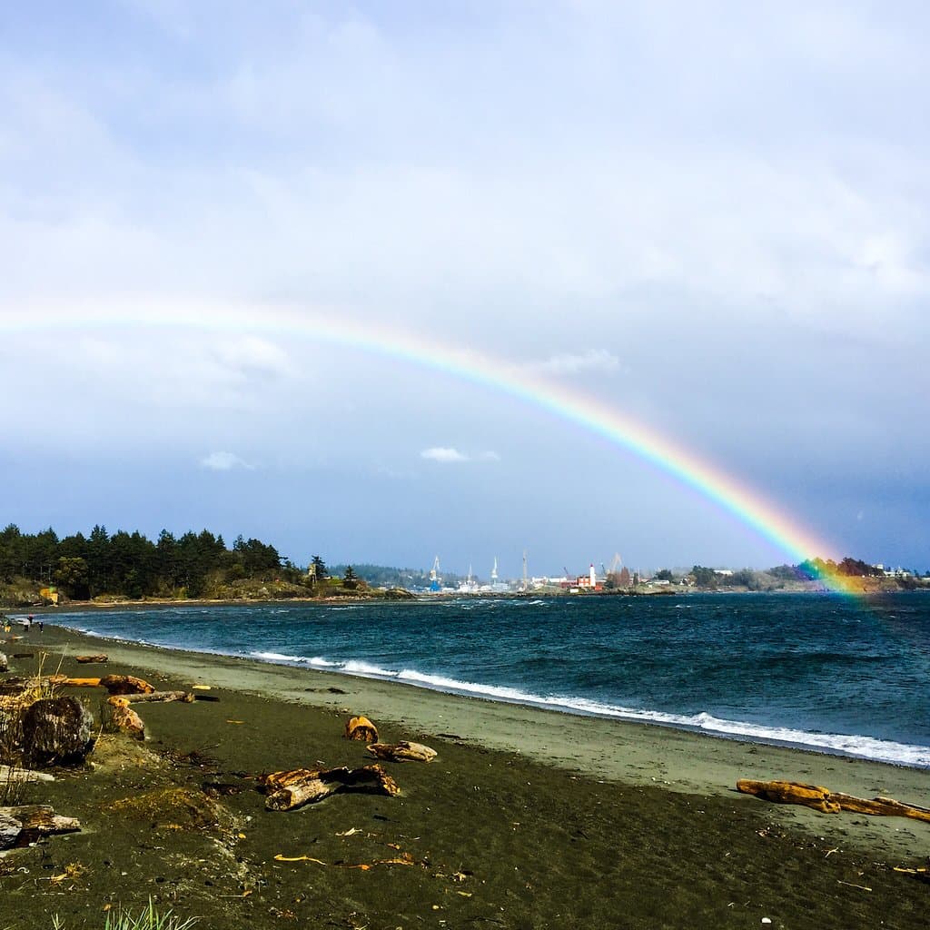 Esquimalt Lagoon Migratory Bird Sanctuary