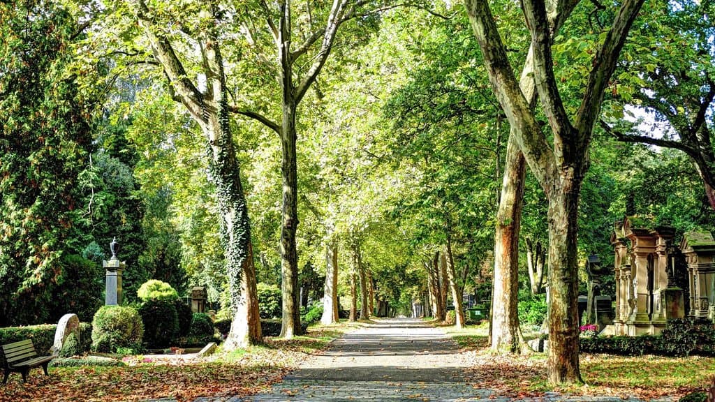 Hauptweg vom Haupteingang zum Jüdischen Friedhof und Hintereingang