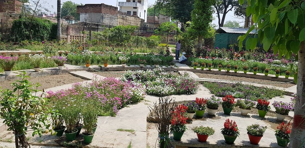 Sarnath Deer Park