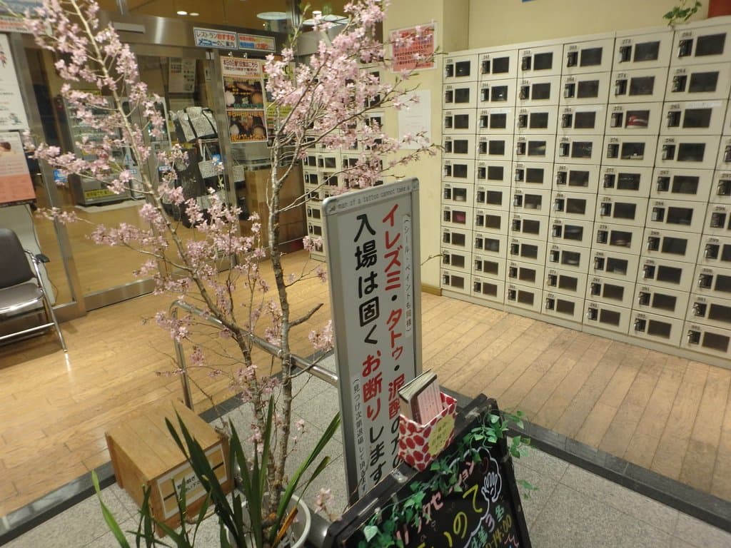 Iya Onsen Cable Car