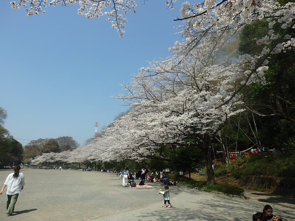 Serigaya Park
